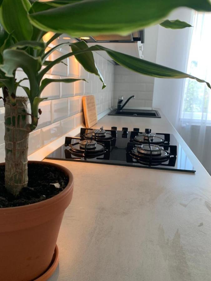 Apartament Anca Sînmartin Extérieur photo